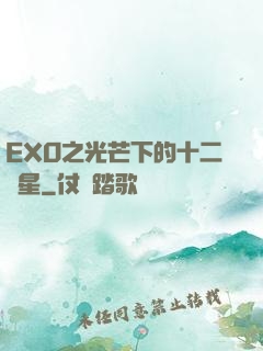 EXO之光芒下的十二顆星
