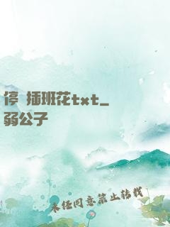 停電插班花txt