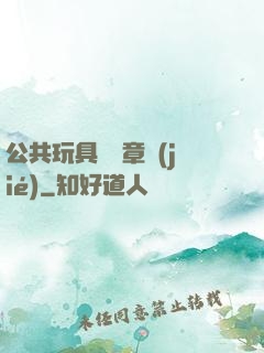 公共玩具閱讀章節(jié)