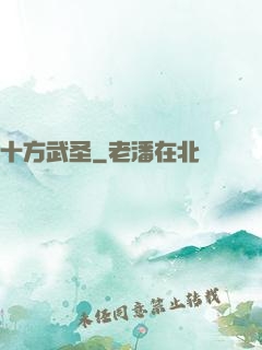 十方武圣