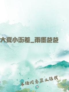 大夏小衙差