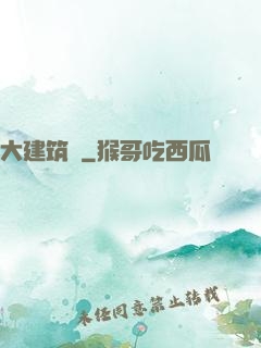 大建筑師