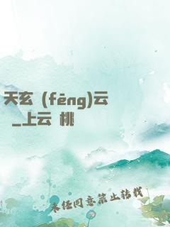 天玄風(fēng)云錄