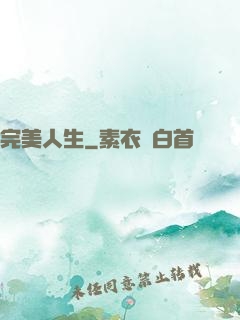 完美人生