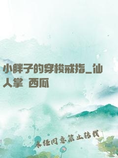 小胖子的穿梭戒指