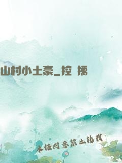 山村小土豪