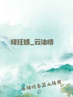 巔峰狂婿
