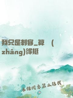 我只是刺客