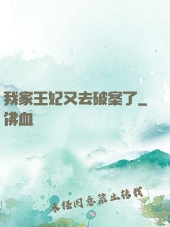 我家王妃又去破案了