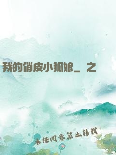 我的俏皮小狐娘