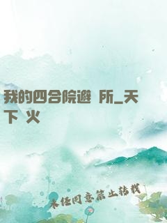 我的四合院避難所
