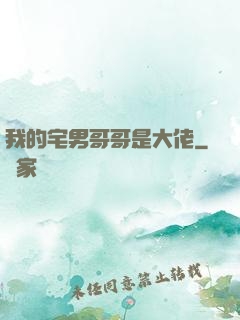 我的宅男哥哥是大佬