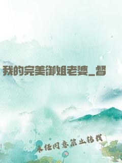 我的完美御姐老婆