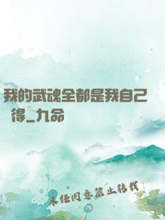 我的武魂全都是我自己變得
