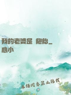 我的老婆是雙胞胎