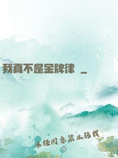 我真不是金牌律師