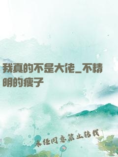 我真的不是大佬