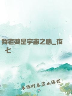 我老婆是宇宙之心