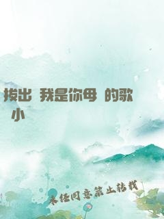 拔出來我是你母親的歌詞小說