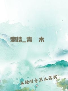 拳精