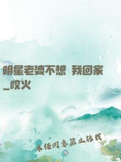 明星老婆不想讓我回家