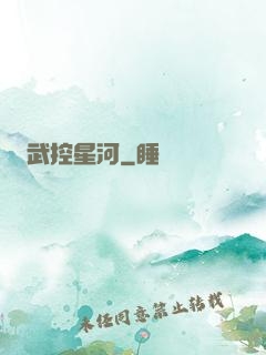 武控星河