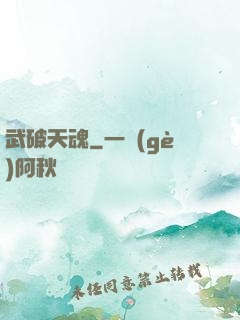 武破天魂