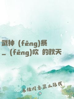 武神風(fēng)暴