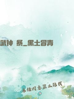 武神風暴