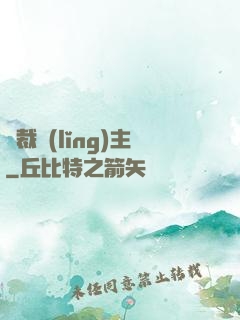 獨裁領(lǐng)主