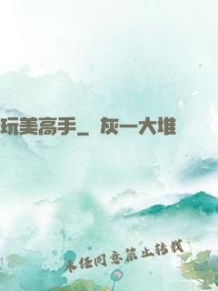 玩美高手