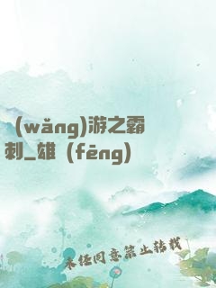網(wǎng)游之霸刺