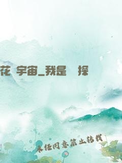 花燚宇宙