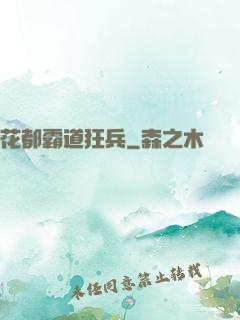 花都霸道狂兵