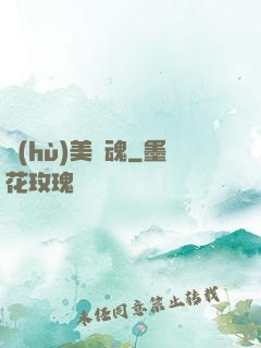 護(hù)美龍魂
