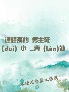 車速超高的雙男主死對(duì)頭小說