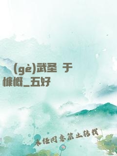 這個(gè)武圣過于慷慨