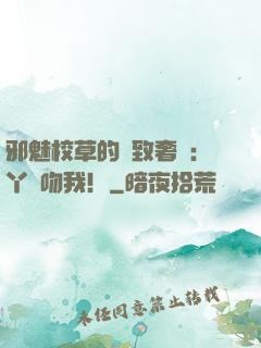 邪魅校草的極致奢寵：丫頭吻我！