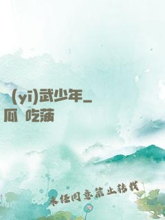 醫(yī)武少年