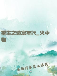 重生之造富年代