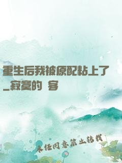 重生后我被原配粘上了