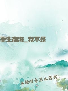 重生商海