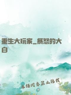 重生大玩家