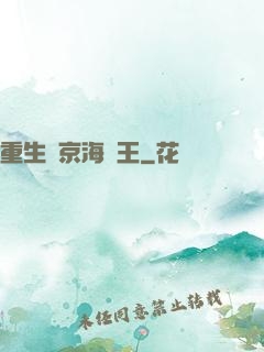 重生維京海盜王