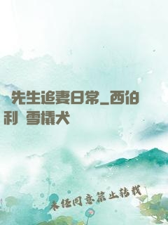 陸先生追妻日常