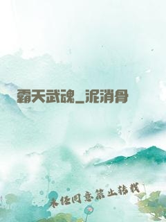 霸天武魂