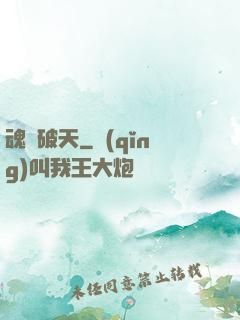 魂極破天