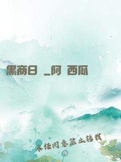 黑商日記