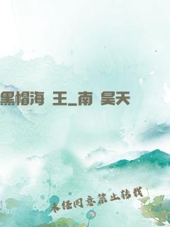 黑帽海賊王